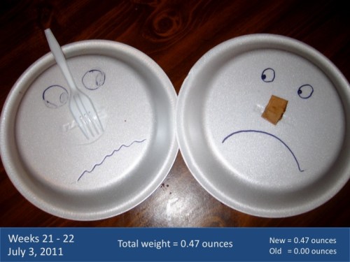 Week 21 22