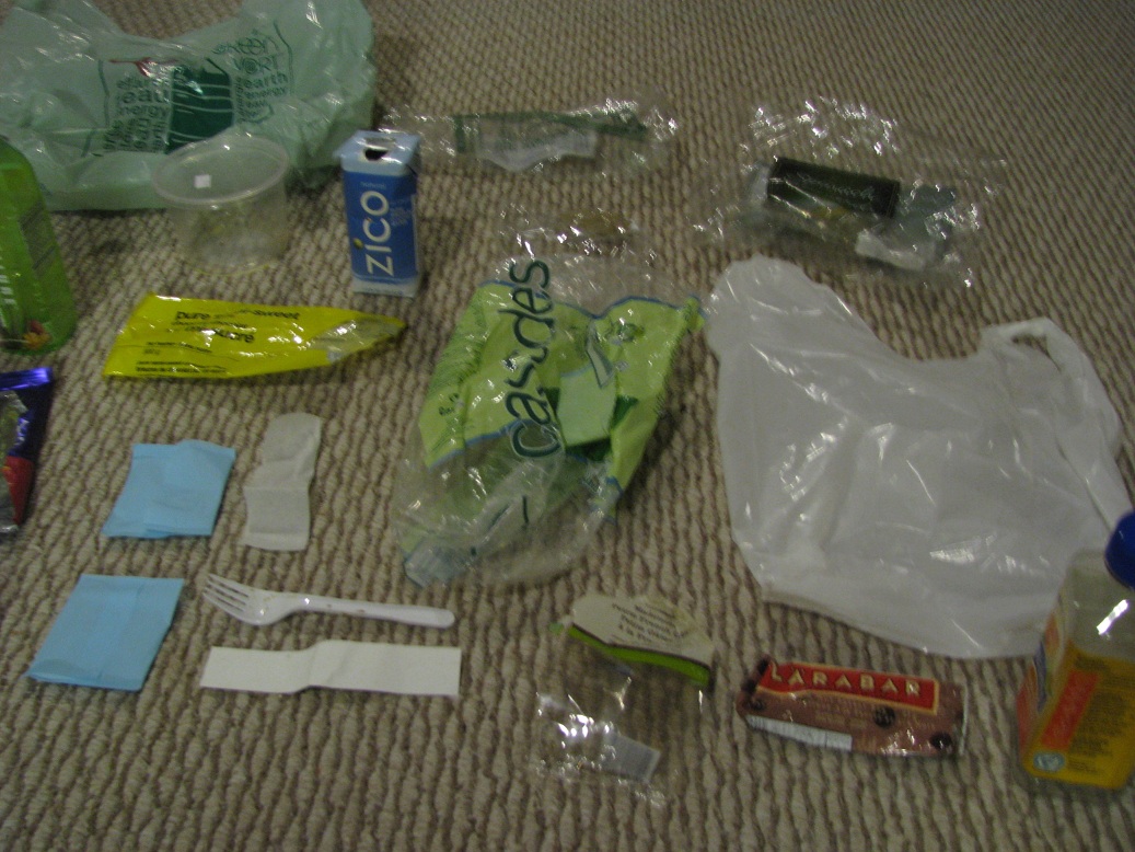 Plastic Challenge: Shan V, Week 1
