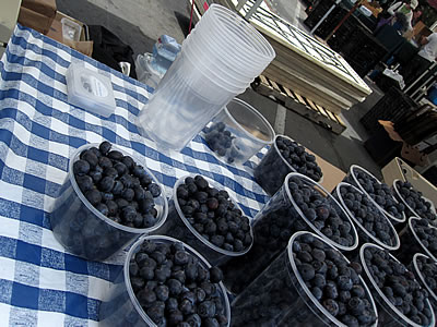 return containers to farmers market
