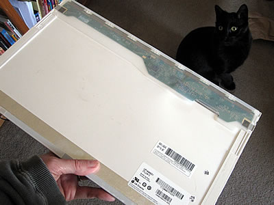 broken laptop monitor broken laptop monitor