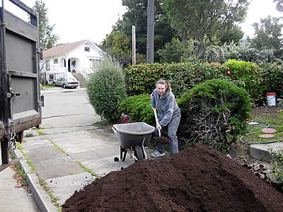 Beth's plastic-free garden project