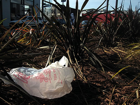 plastic bag litter on 8th Street in San Francisco